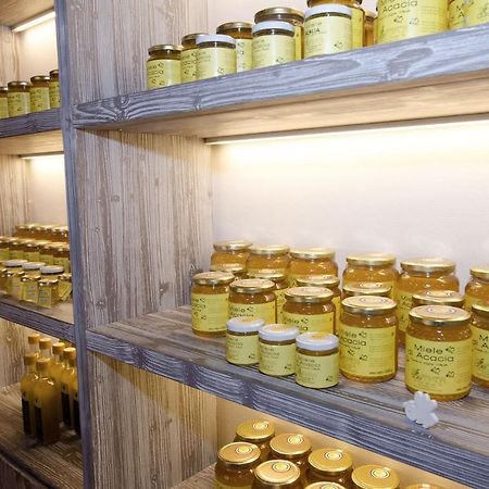 Agriturismo Due Comuni San Gervasio Eksteriør billede