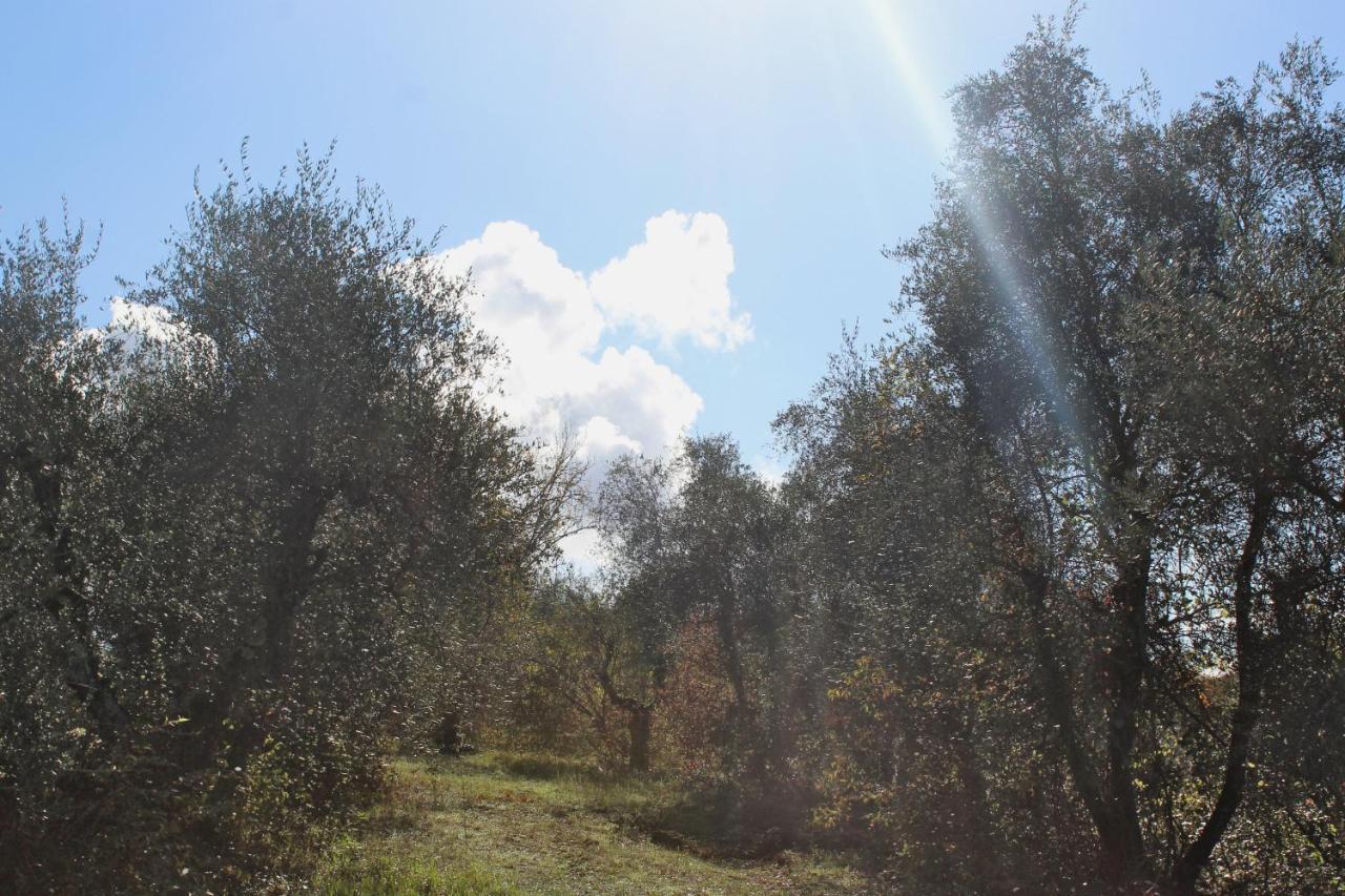 Agriturismo Due Comuni San Gervasio Eksteriør billede